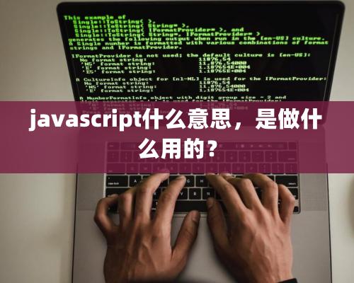 javascript什么意思，是做什么用的？