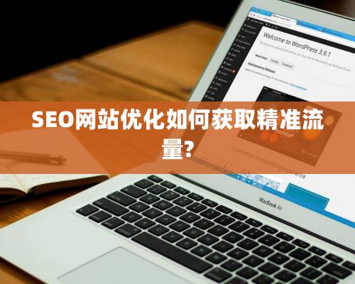 SEO網站優化如何獲取精準流量?